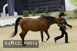 24R13_19914 thumbnail