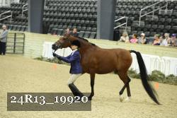 24R13_19920 thumbnail