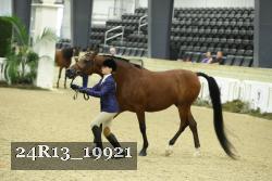 24R13_19921 thumbnail