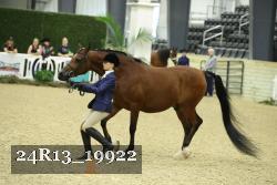 24R13_19922 thumbnail