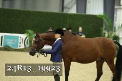 24R13_19923 thumbnail