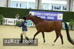 24R13_19925 thumbnail