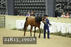 24R13_19928 thumbnail
