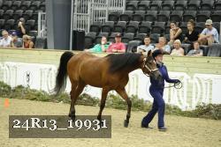 24R13_19931 thumbnail