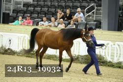 24R13_19932 thumbnail