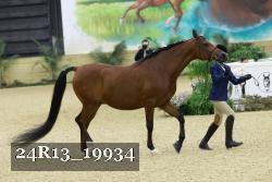 24R13_19934 thumbnail