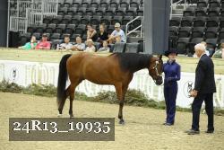 24R13_19935 thumbnail