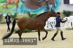 24R13_19937 thumbnail