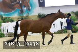 24R13_19938 thumbnail