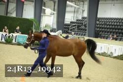 24R13_19942 thumbnail