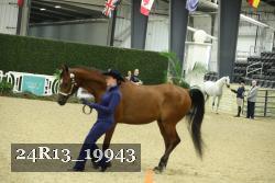 24R13_19943 thumbnail