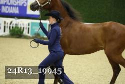 24R13_19945 thumbnail