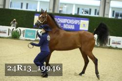 24R13_19946 thumbnail
