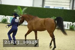 24R13_19948 thumbnail