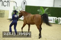 24R13_19949 thumbnail