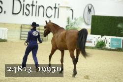 24R13_19950 thumbnail