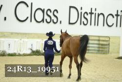 24R13_19951 thumbnail