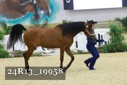 24R13_19958 thumbnail
