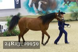 24R13_19959 thumbnail