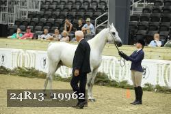 24R13_19962 thumbnail