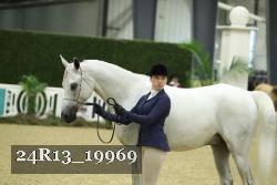 24R13_19969 thumbnail