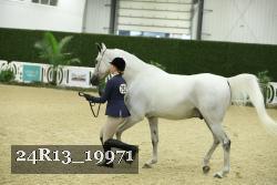 24R13_19971 thumbnail