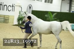 24R13_19972 thumbnail