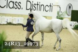 24R13_19973 thumbnail