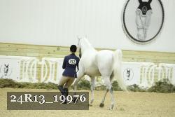 24R13_19976 thumbnail