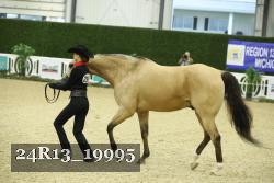 24R13_19995 thumbnail