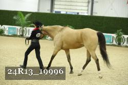 24R13_19996 thumbnail