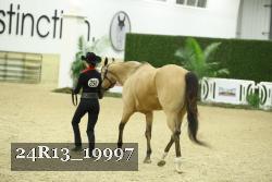 24R13_19997 thumbnail