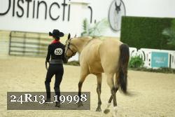 24R13_19998 thumbnail