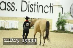 24R13_19999 thumbnail