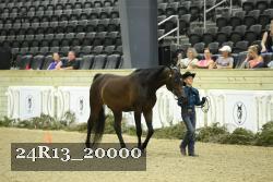 24R13_20000 thumbnail