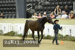 24R13_20001 thumbnail