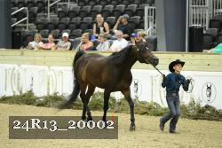 24R13_20002 thumbnail