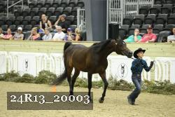 24R13_20003 thumbnail