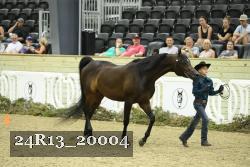 24R13_20004 thumbnail