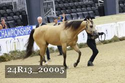 24R13_20005 thumbnail
