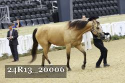 24R13_20006 thumbnail