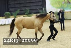 24R13_20008 thumbnail