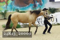 24R13_20009 thumbnail