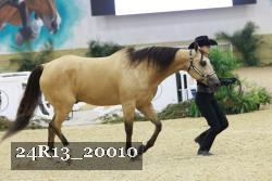 24R13_20010 thumbnail