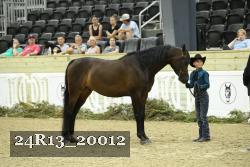24R13_20012 thumbnail