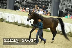 24R13_20017 thumbnail