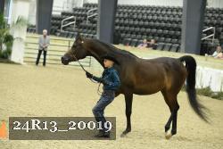 24R13_20019 thumbnail