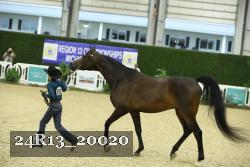 24R13_20020 thumbnail