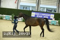 24R13_20021 thumbnail