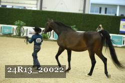 24R13_20022 thumbnail